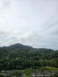 The Skywoods (D23), Condominium #456304201